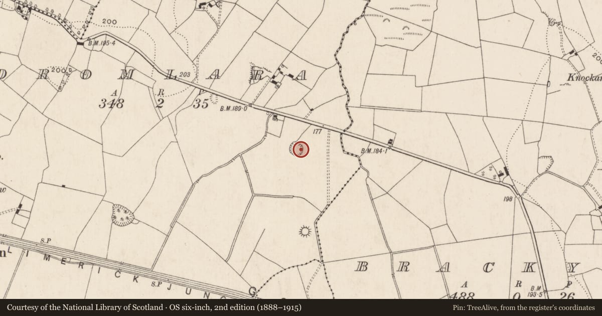 Ordnance Survey six-inch map, 2nd edition (1888–1915) covering the location of Ringfort - rath, Dromlara, County Limerick, with a pin at the register's coordinates