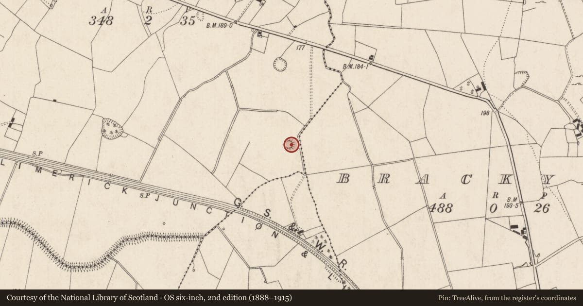 Ordnance Survey six-inch map, 2nd edition (1888–1915) covering the location of Ringfort - rath, Dromlara, County Limerick, with a pin at the register's coordinates