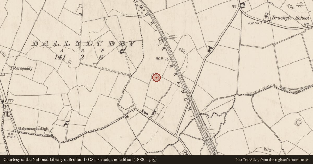 Ordnance Survey six-inch map, 2nd edition (1888–1915) covering the location of Ringfort - rath, Brackyle, County Limerick, with a pin at the register's coordinates