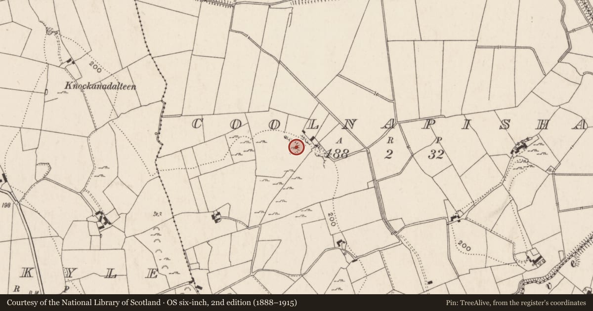 Ordnance Survey six-inch map, 2nd edition (1888–1915) covering the location of Burial ground, Coolnapisha, County Limerick, with a pin at the register's coordinates
