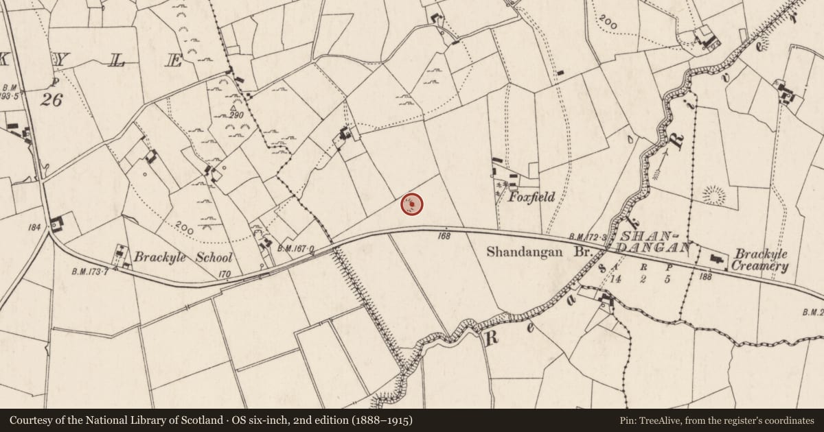 Ordnance Survey six-inch map, 2nd edition (1888–1915) covering the location of Ringfort - rath, Coolnapisha, County Limerick, with a pin at the register's coordinates