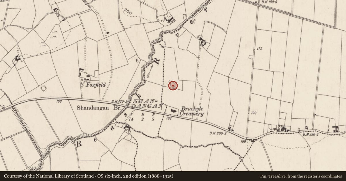 Ordnance Survey six-inch map, 2nd edition (1888–1915) covering the location of Barrow - stepped barrow, Reask, County Limerick, with a pin at the register's coordinates