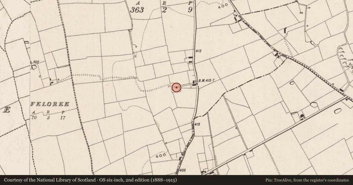 Ordnance Survey six-inch map, 2nd edition (1888–1915) covering the location of Ringfort - rath, Boherroe, County Limerick, with a pin at the register's coordinates