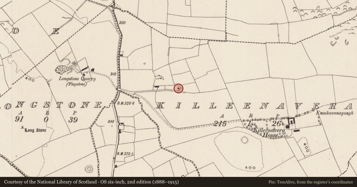 Ordnance Survey six-inch map, 2nd edition (1888–1915) covering the location of Ringfort - rath, Killeenavera, County Limerick, with a pin at the register's coordinates