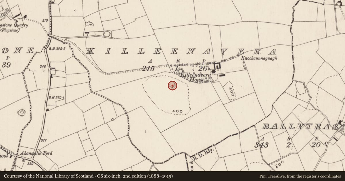 Ordnance Survey six-inch map, 2nd edition (1888–1915) covering the location of Ringfort - rath, Killeenavera, County Limerick, with a pin at the register's coordinates