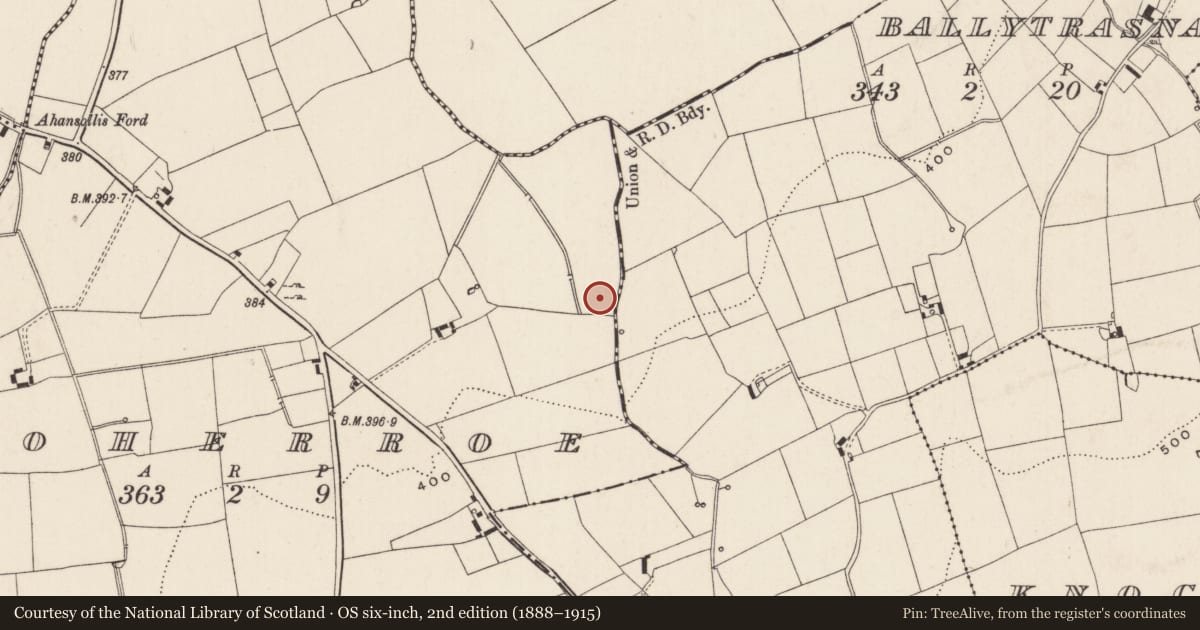Ordnance Survey six-inch map, 2nd edition (1888–1915) covering the location of Ringfort - rath, Boherroe, County Limerick, with a pin at the register's coordinates