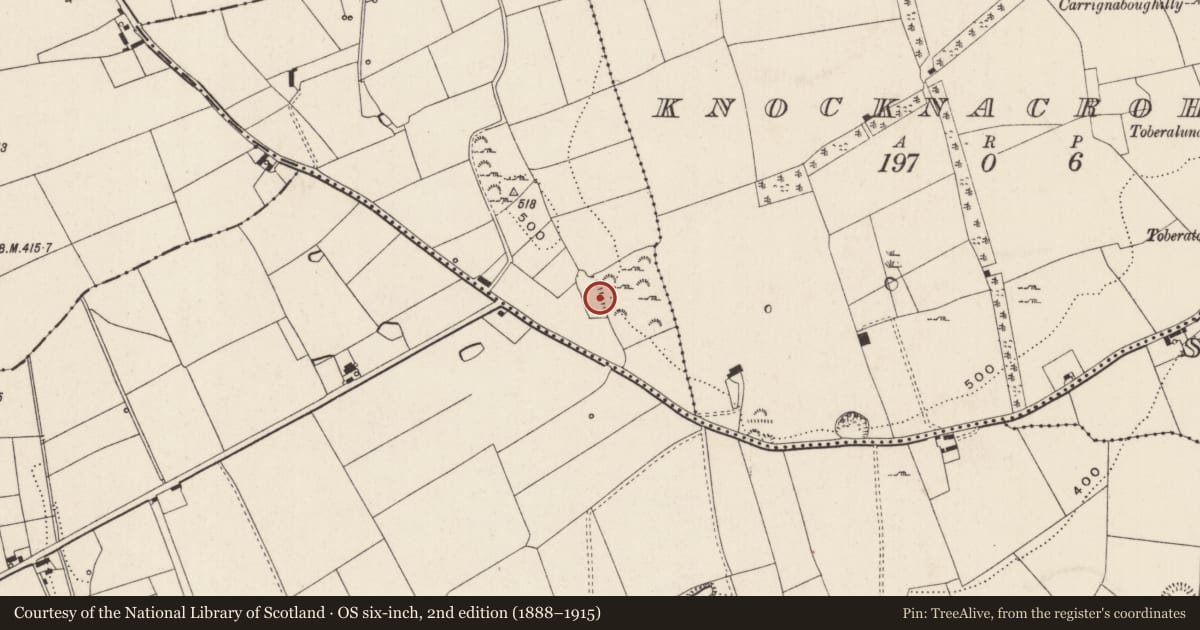 Ordnance Survey six-inch map, 2nd edition (1888–1915) covering the location of Enclosure, Ballytrasna, County Limerick, with a pin at the register's coordinates