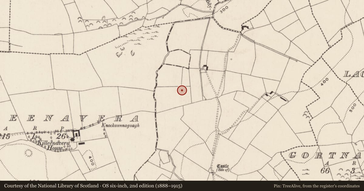 Ordnance Survey six-inch map, 2nd edition (1888–1915) covering the location of Enclosure, Ballytrasna, County Limerick, with a pin at the register's coordinates