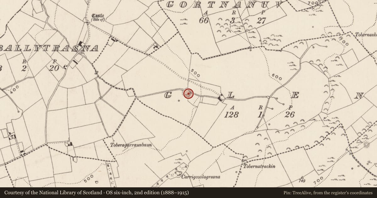 Ordnance Survey six-inch map, 2nd edition (1888–1915) covering the location of Ringfort - rath, Glen, County Limerick, with a pin at the register's coordinates