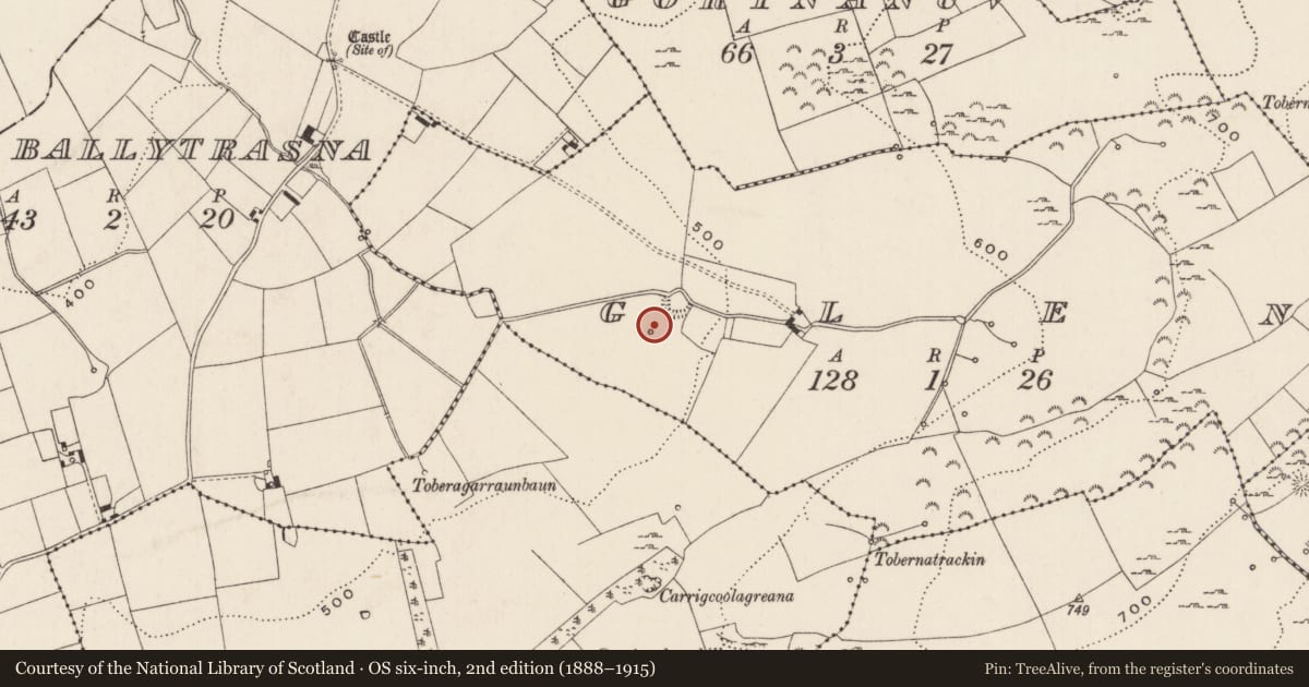 Ordnance Survey six-inch map, 2nd edition (1888–1915) covering the location of Barrow - ring-barrow, Glen, County Limerick, with a pin at the register's coordinates