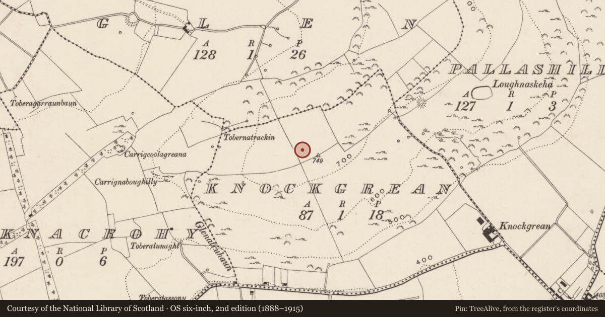 Ordnance Survey six-inch map, 2nd edition (1888–1915) covering the location of Burial mound, Knockgrean, County Limerick, with a pin at the register's coordinates