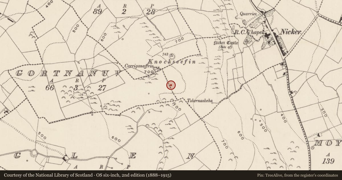 Ordnance Survey six-inch map, 2nd edition (1888–1915) covering the location of Enclosure, Gortnanuv, County Limerick, with a pin at the register's coordinates