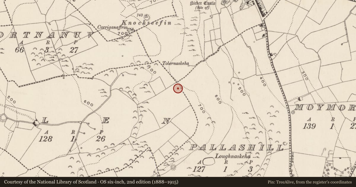 Ordnance Survey six-inch map, 2nd edition (1888–1915) covering the location of Enclosure, Glen, County Limerick, with a pin at the register's coordinates