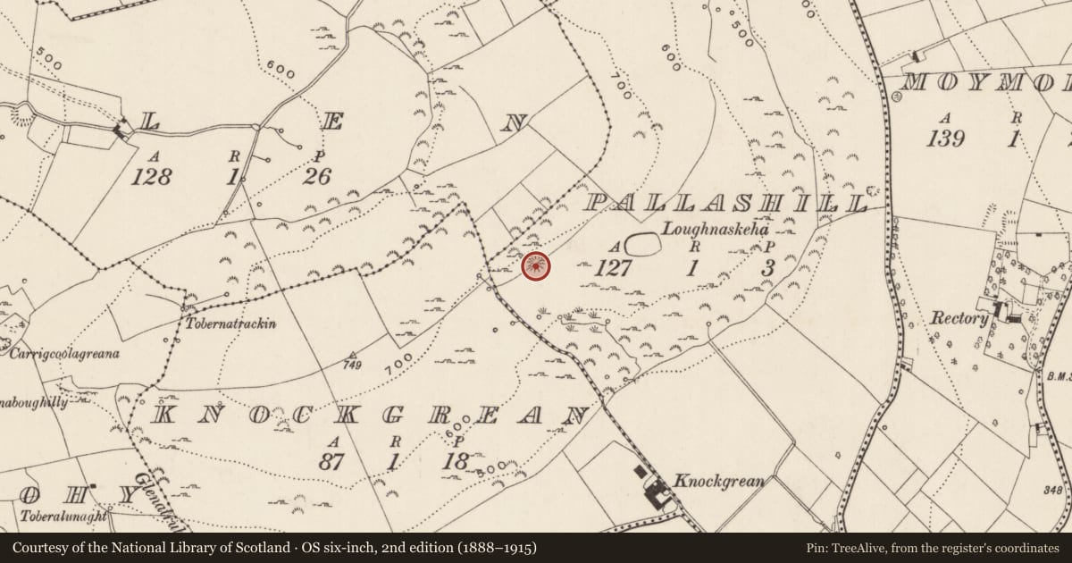 Ordnance Survey six-inch map, 2nd edition (1888–1915) covering the location of Enclosure, Pallashill, County Limerick, with a pin at the register's coordinates