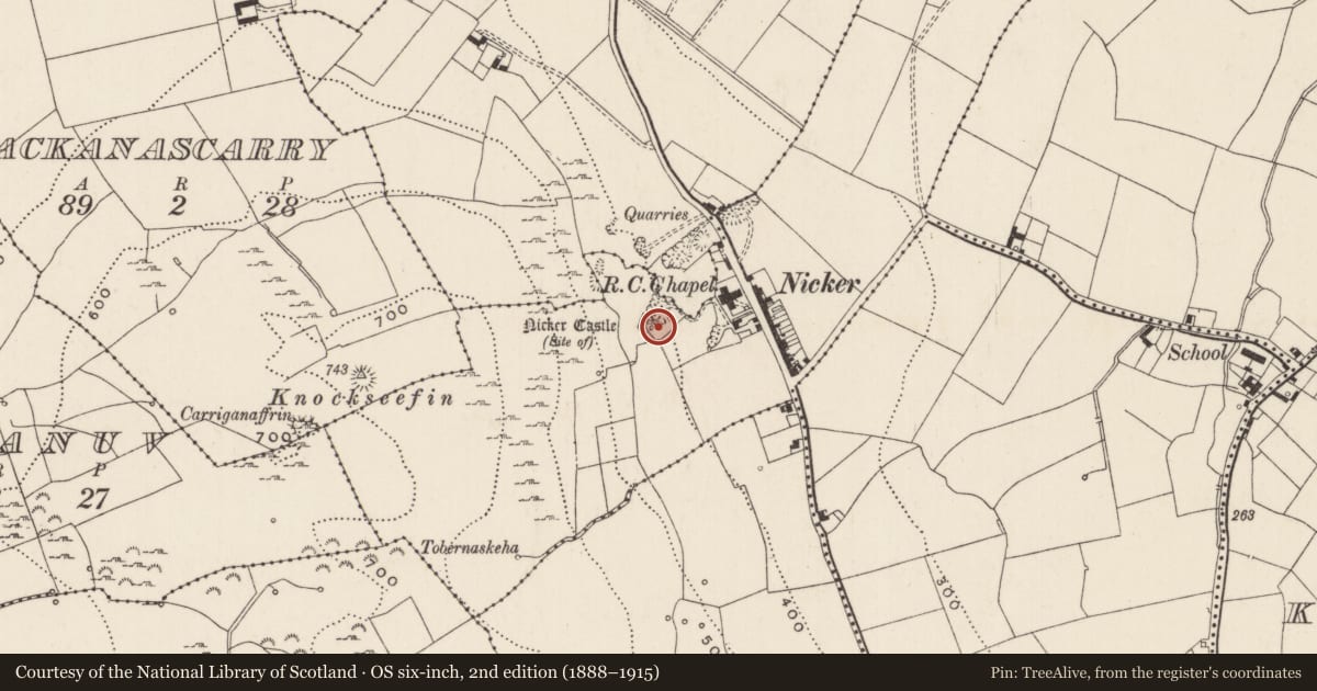 Ordnance Survey six-inch map, 2nd edition (1888–1915) covering the location of Castle - unclassified, Nicker, County Limerick, with a pin at the register's coordinates