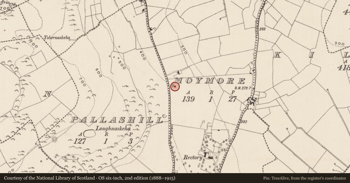 Ordnance Survey six-inch map, 2nd edition (1888–1915) covering the location of Designed landscape - tree-ring, Moymore, County Limerick, with a pin at the register's coordinates