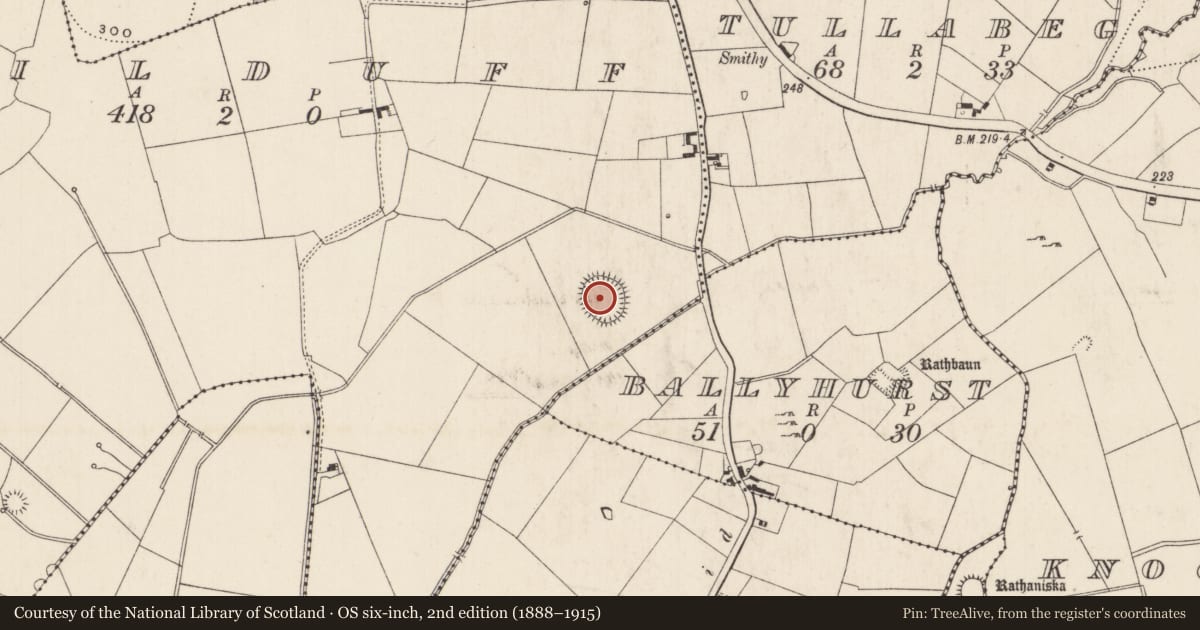 Ordnance Survey six-inch map, 2nd edition (1888–1915) covering the location of Enclosure - large enclosure, Kilduff, County Limerick, with a pin at the register's coordinates