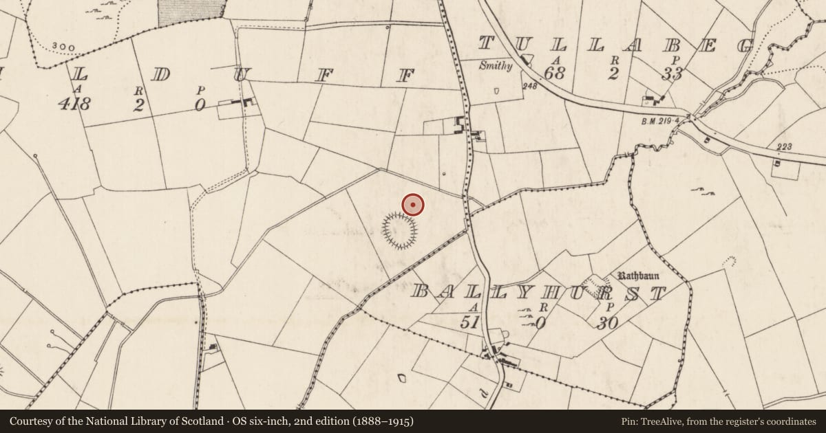 Ordnance Survey six-inch map, 2nd edition (1888–1915) covering the location of Barrow - unclassified, Kilduff, County Limerick, with a pin at the register's coordinates