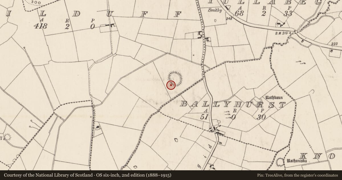 Ordnance Survey six-inch map, 2nd edition (1888–1915) covering the location of Barrow - unclassified, Kilduff, County Limerick, with a pin at the register's coordinates