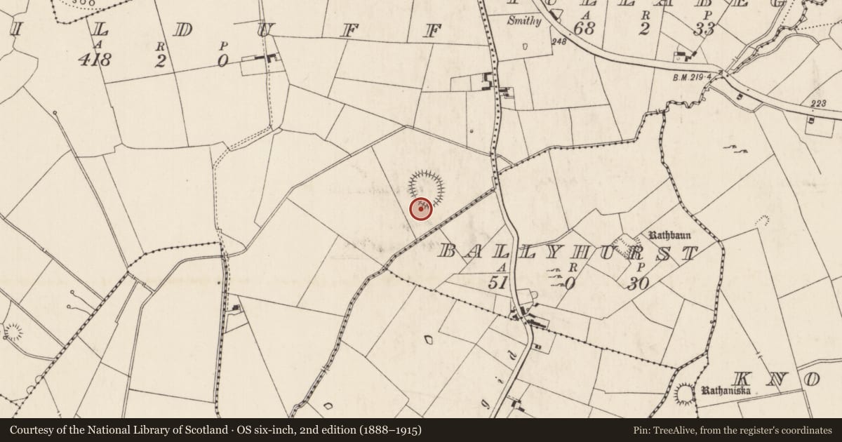 Ordnance Survey six-inch map, 2nd edition (1888–1915) covering the location of Barrow - unclassified, Kilduff, County Limerick, with a pin at the register's coordinates