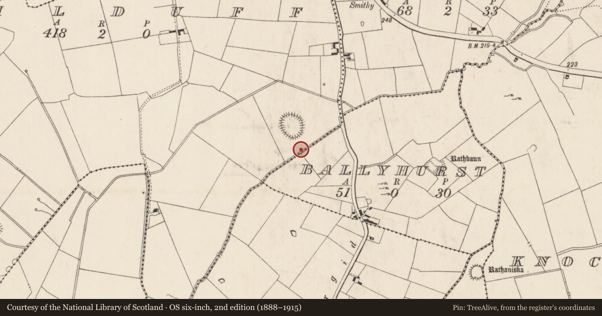 Ordnance Survey six-inch map, 2nd edition (1888–1915) covering the location of Barrow - unclassified, Kilduff, County Limerick, with a pin at the register's coordinates
