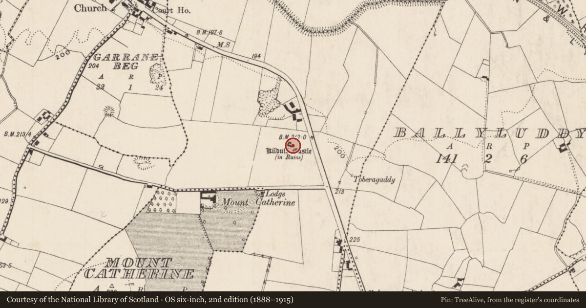 Ordnance Survey six-inch map, 2nd edition (1888–1915) covering the location of Castle - tower house, Kilduff, County Limerick, with a pin at the register's coordinates