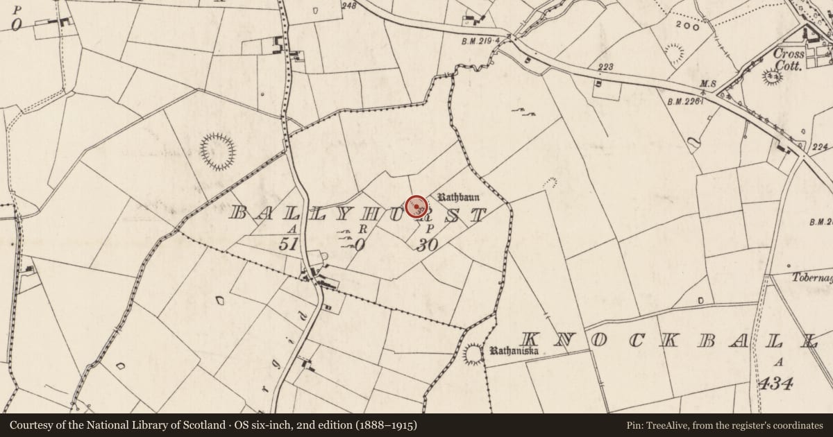 Ordnance Survey six-inch map, 2nd edition (1888–1915) covering the location of Moated site, Ballyhurst, County Limerick, with a pin at the register's coordinates