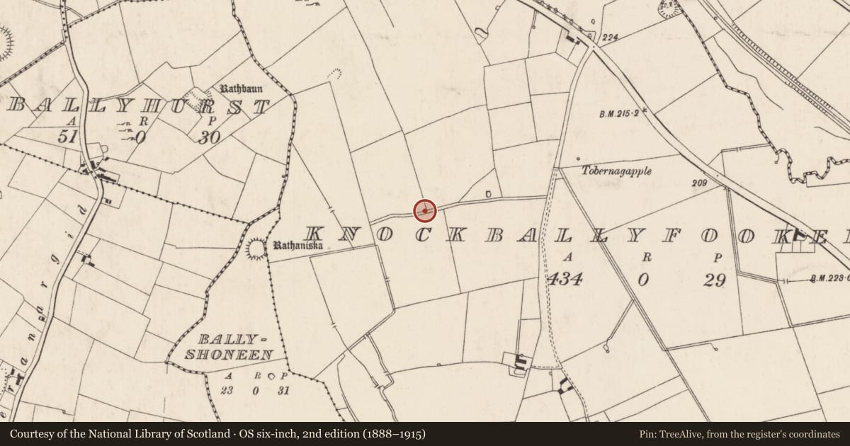 Ordnance Survey six-inch map, 2nd edition (1888–1915) covering the location of Barrow - ring-barrow, Knockballyfookeen, County Limerick, with a pin at the register's coordinates