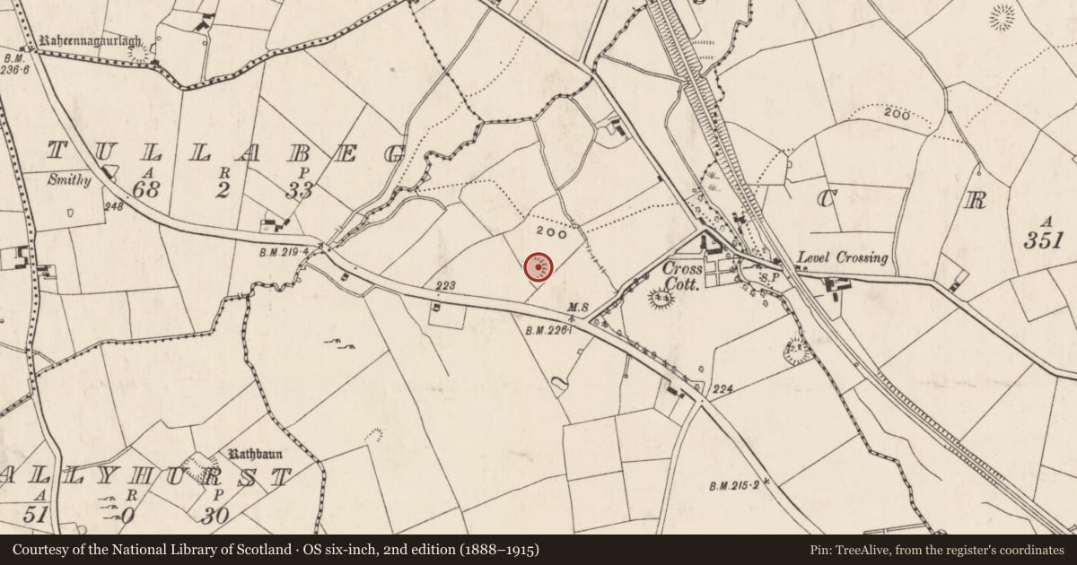 Ordnance Survey six-inch map, 2nd edition (1888–1915) covering the location of Enclosure, Knockballyfookeen, County Limerick, with a pin at the register's coordinates