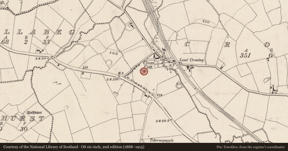 Ordnance Survey six-inch map, 2nd edition (1888–1915) covering the location of Ringfort - rath, Knockballyfookeen, County Limerick, with a pin at the register's coordinates