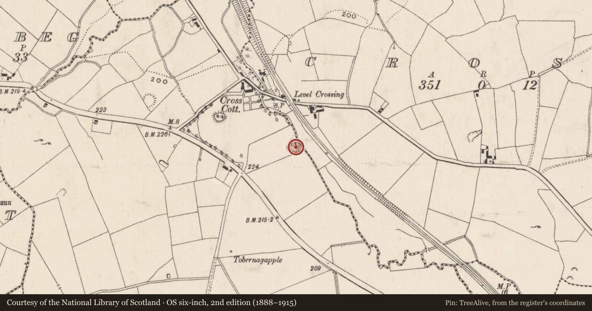 Ordnance Survey six-inch map, 2nd edition (1888–1915) covering the location of Ringfort - rath, Knockballyfookeen, County Limerick, with a pin at the register's coordinates