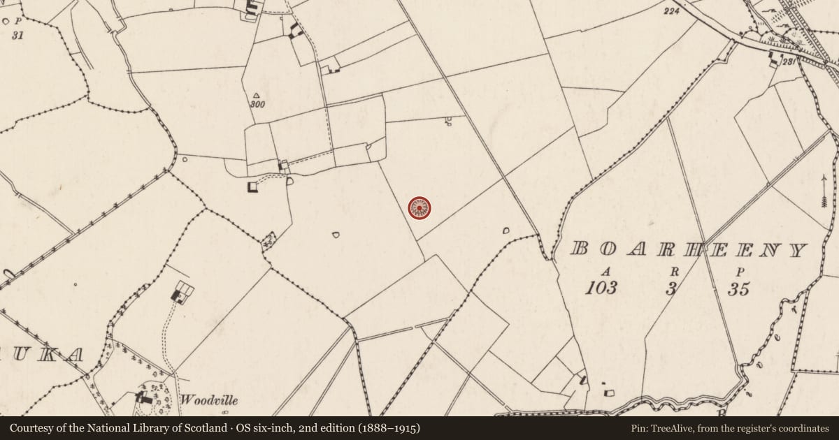 Ordnance Survey six-inch map, 2nd edition (1888–1915) covering the location of Ringfort - rath, Knockballyfookeen, County Limerick, with a pin at the register's coordinates