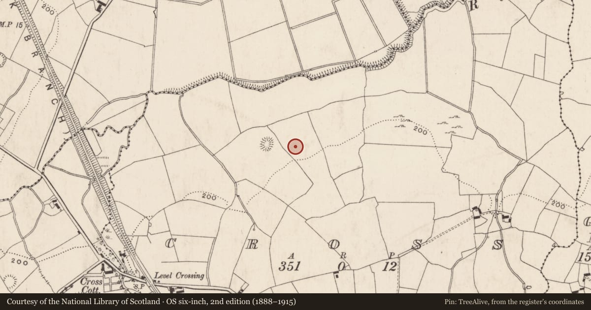 Ordnance Survey six-inch map, 2nd edition (1888–1915) covering the location of Enclosure, Cross, County Limerick, with a pin at the register's coordinates