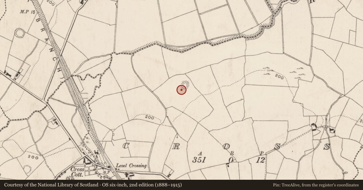 Ordnance Survey six-inch map, 2nd edition (1888–1915) covering the location of Enclosure, Cross, County Limerick, with a pin at the register's coordinates