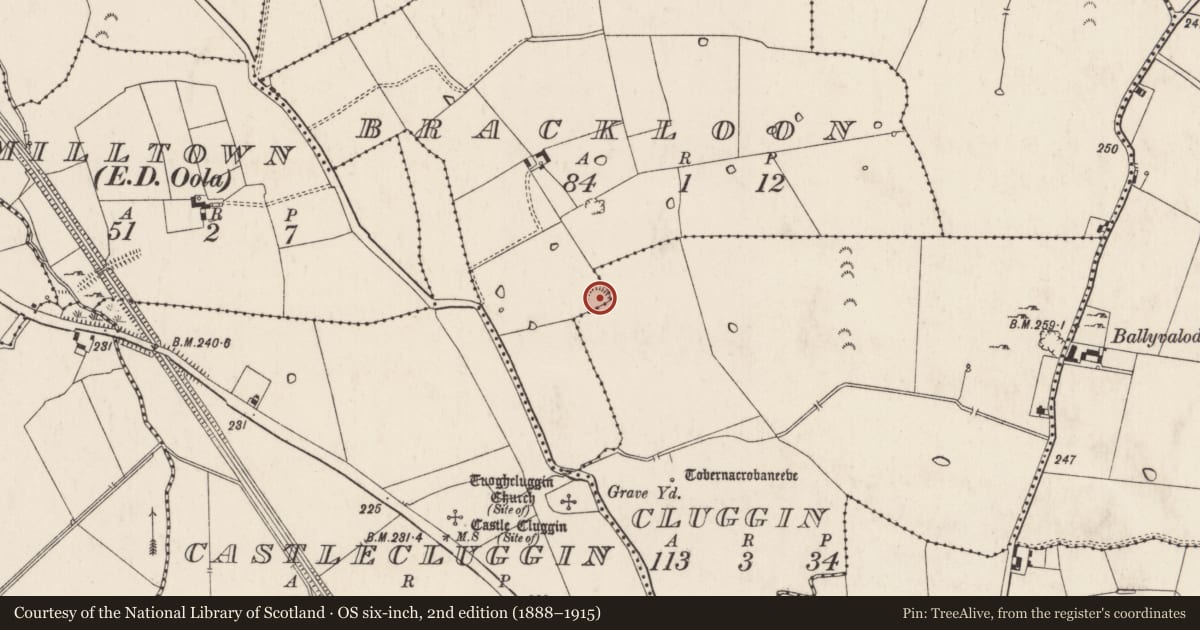 Ordnance Survey six-inch map, 2nd edition (1888–1915) covering the location of Enclosure, Brackloon, County Limerick, with a pin at the register's coordinates