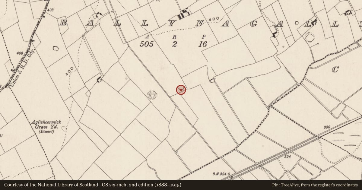 Ordnance Survey six-inch map, 2nd edition (1888–1915) covering the location of Barrow - ditch barrow, Ballynagally, County Limerick, with a pin at the register's coordinates