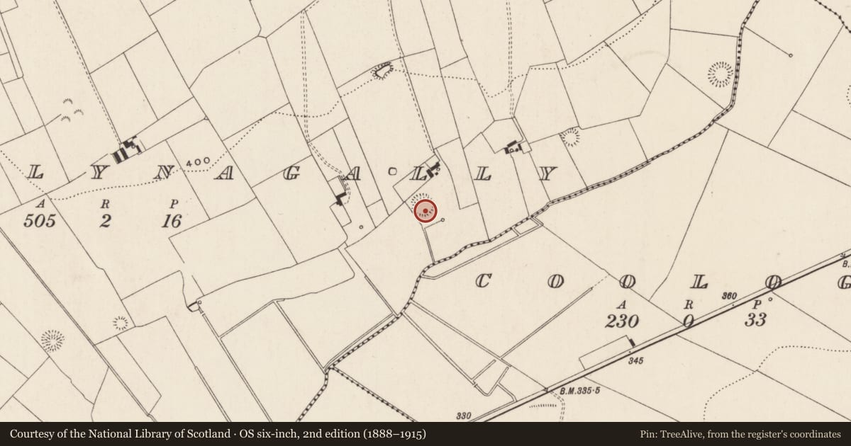 Ordnance Survey six-inch map, 2nd edition (1888–1915) covering the location of Barrow - ring-barrow, Ballynagally, County Limerick, with a pin at the register's coordinates