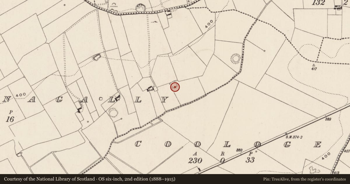 Ordnance Survey six-inch map, 2nd edition (1888–1915) covering the location of Barrow - ditch barrow, Ballynagally, County Limerick, with a pin at the register's coordinates