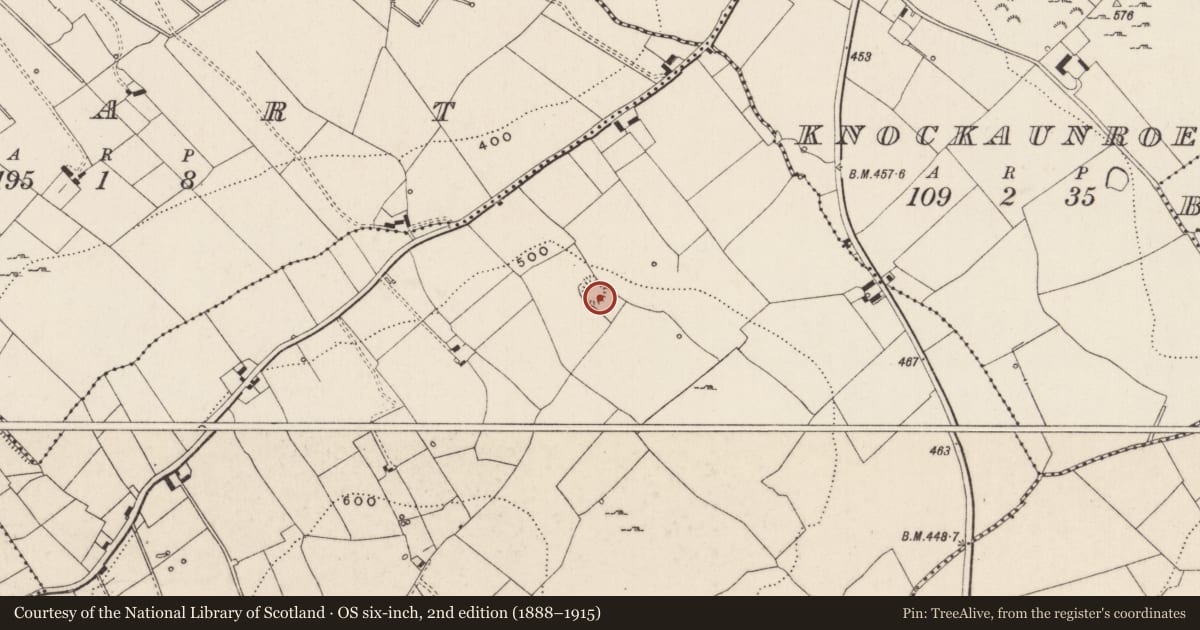 Ordnance Survey six-inch map, 2nd edition (1888–1915) covering the location of Earthwork, Knockroe, County Limerick, with a pin at the register's coordinates