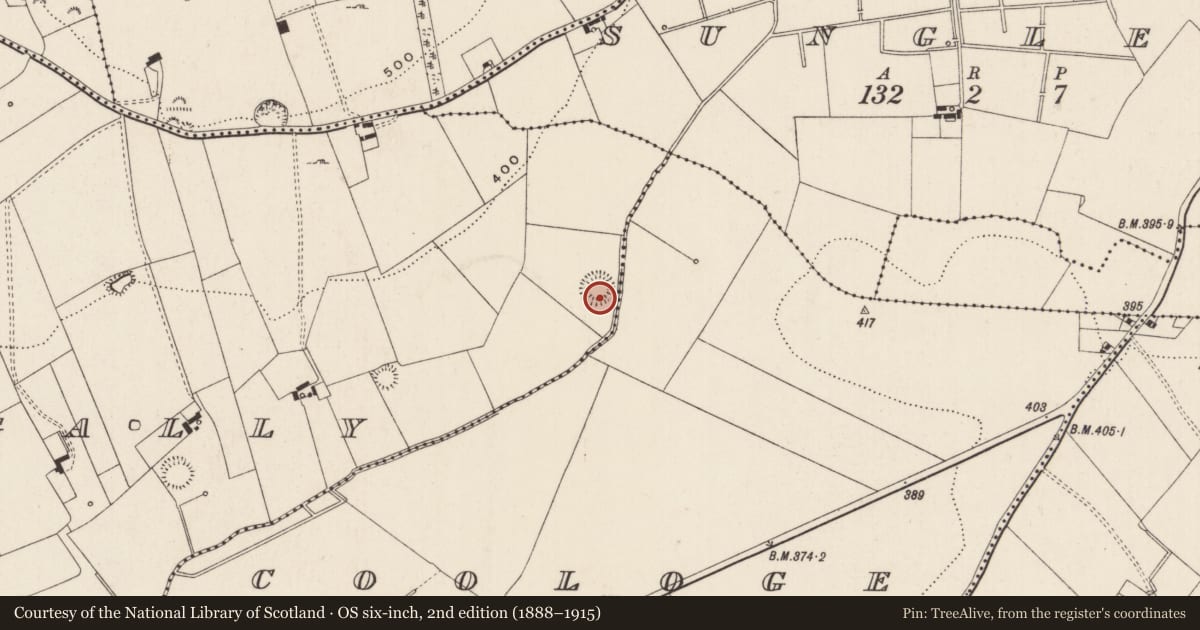 Ordnance Survey six-inch map, 2nd edition (1888–1915) covering the location of Barrow - ditch barrow, Ballynagally, County Limerick, with a pin at the register's coordinates