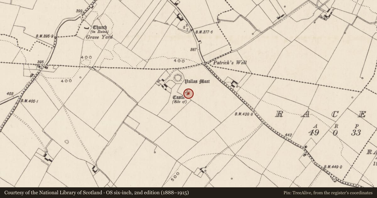 Ordnance Survey six-inch map, 2nd edition (1888–1915) covering the location of Castle - unclassified, Cloghaderreen, County Limerick, with a pin at the register's coordinates
