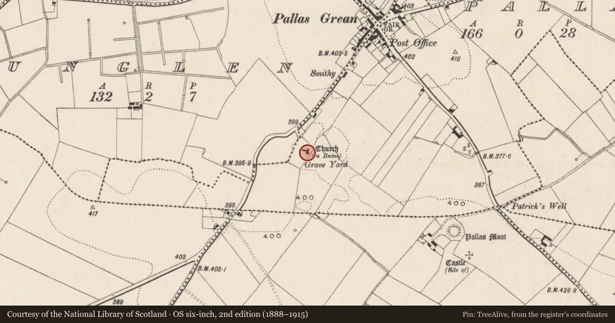 Ordnance Survey six-inch map, 2nd edition (1888–1915) covering the location of Church, Pallas, County Limerick, with a pin at the register's coordinates