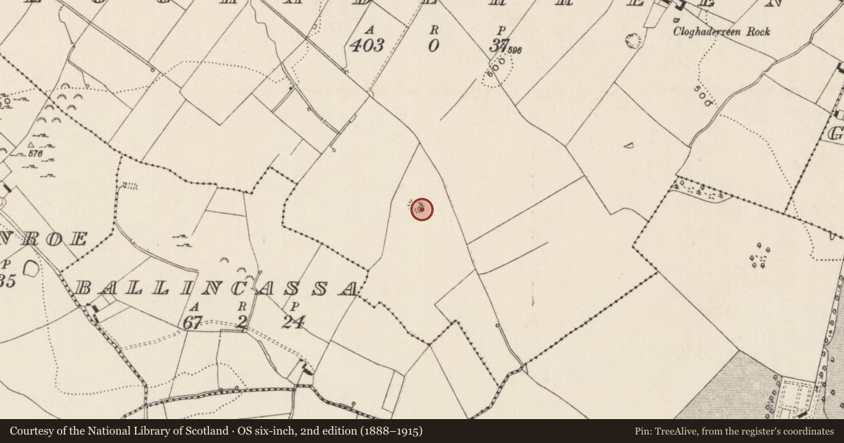 Ordnance Survey six-inch map, 2nd edition (1888–1915) covering the location of Barrow - embanked barrow, Cloghaderreen, County Limerick, with a pin at the register's coordinates
