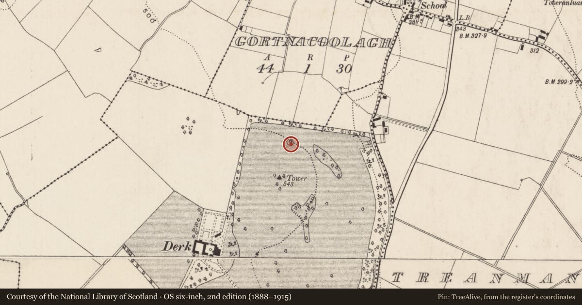 Ordnance Survey six-inch map, 2nd edition (1888–1915) covering the location of Designed landscape - folly, Derk, County Limerick, with a pin at the register's coordinates