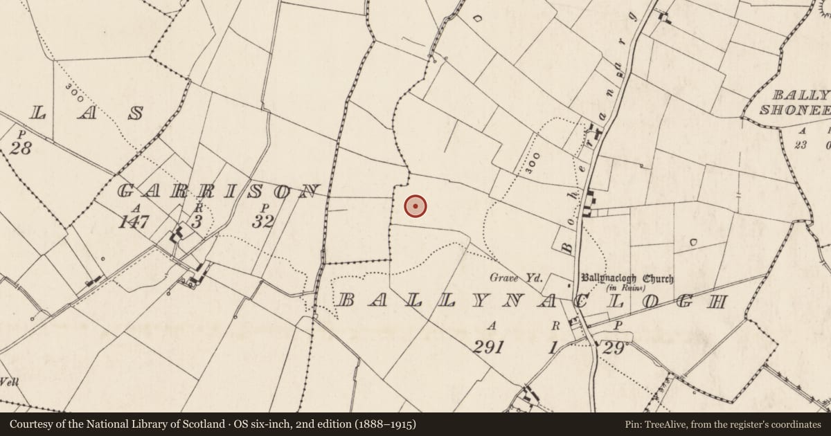 Ordnance Survey six-inch map, 2nd edition (1888–1915) covering the location of Enclosure, Ballynaclogh, County Limerick, with a pin at the register's coordinates