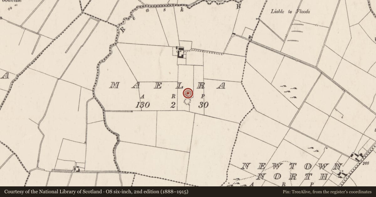 Ordnance Survey six-inch map, 2nd edition (1888–1915) covering the location of Ringfort - rath, Maelra, County Limerick, with a pin at the register's coordinates