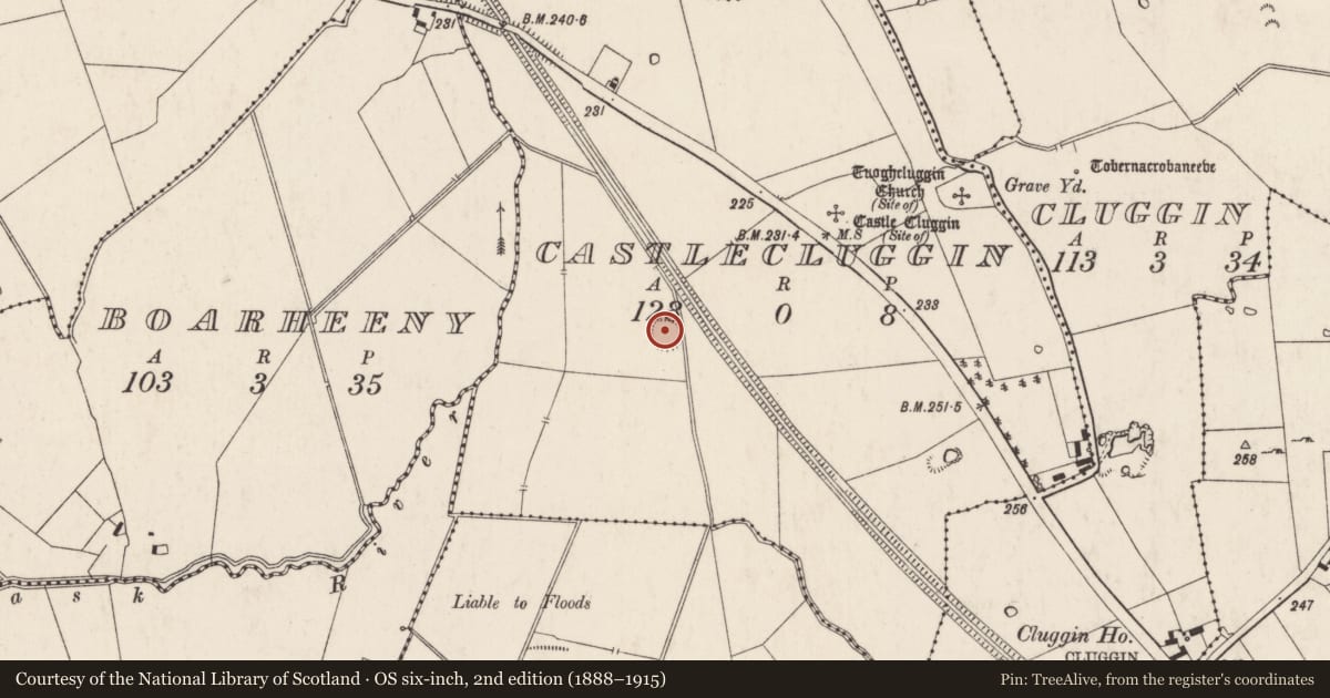 Ordnance Survey six-inch map, 2nd edition (1888–1915) covering the location of Earthwork, Castlecluggin, County Limerick, with a pin at the register's coordinates