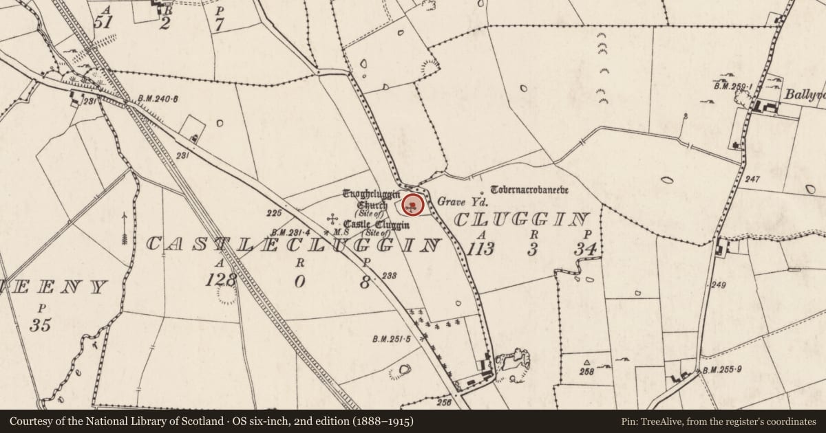 Ordnance Survey six-inch map, 2nd edition (1888–1915) covering the location of Graveyard, Castlecluggin, County Limerick, with a pin at the register's coordinates