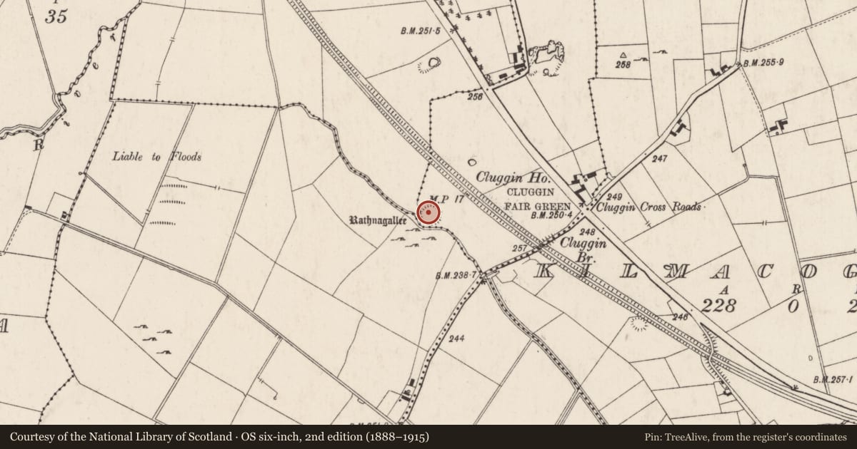 Ordnance Survey six-inch map, 2nd edition (1888–1915) covering the location of Ringfort - unclassified, Cluggin, County Limerick, with a pin at the register's coordinates
