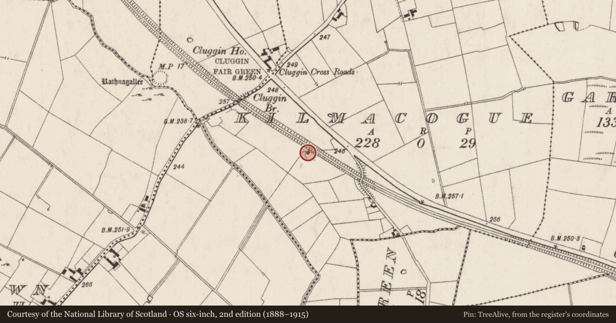 Ordnance Survey six-inch map, 2nd edition (1888–1915) covering the location of Earthwork, Kilmacogue, County Limerick, with a pin at the register's coordinates